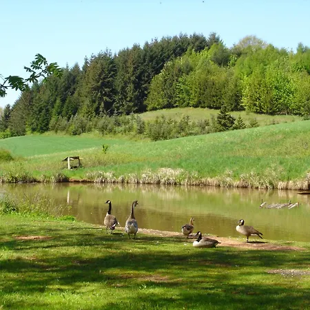 Hotel & Landgasthaus Pfeifertal Eulenbis