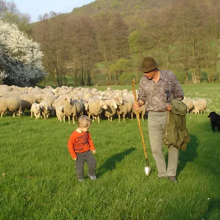 Hotel & Landgasthaus Pfeifertal *