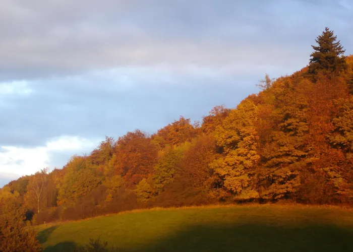 Hotel & Landgasthaus Pfeifertal *