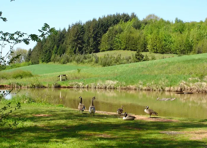 Hotel & Landgasthaus Pfeifertal Eulenbis