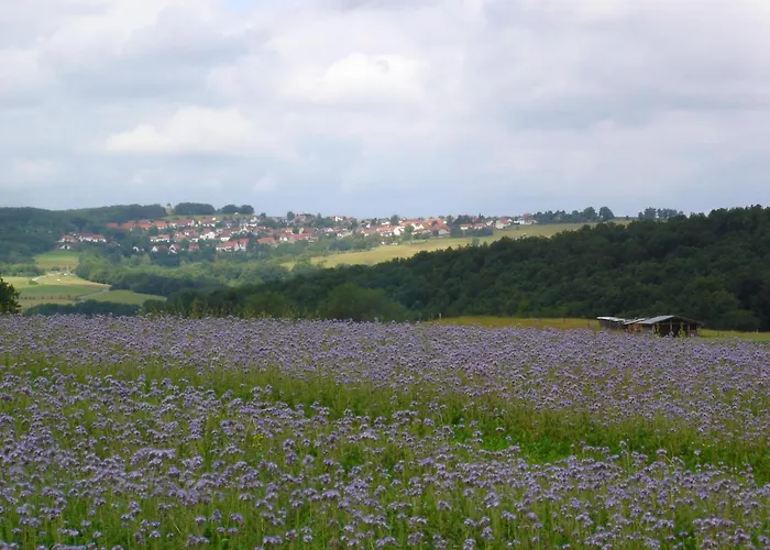 & Landgasthaus Pfeifertal *