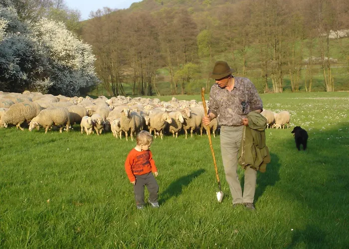 Hotel & Landgasthaus Pfeifertal *